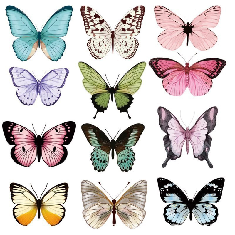 12 pçs 3d borboleta adesivos d - Art Craft Earth Day avaliação e preço